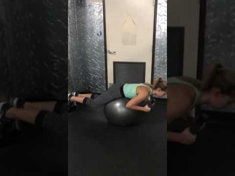 Stability Ball Back Extension with 10lb Plate