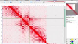 Tutorial video for Juicebox Assembly Tools