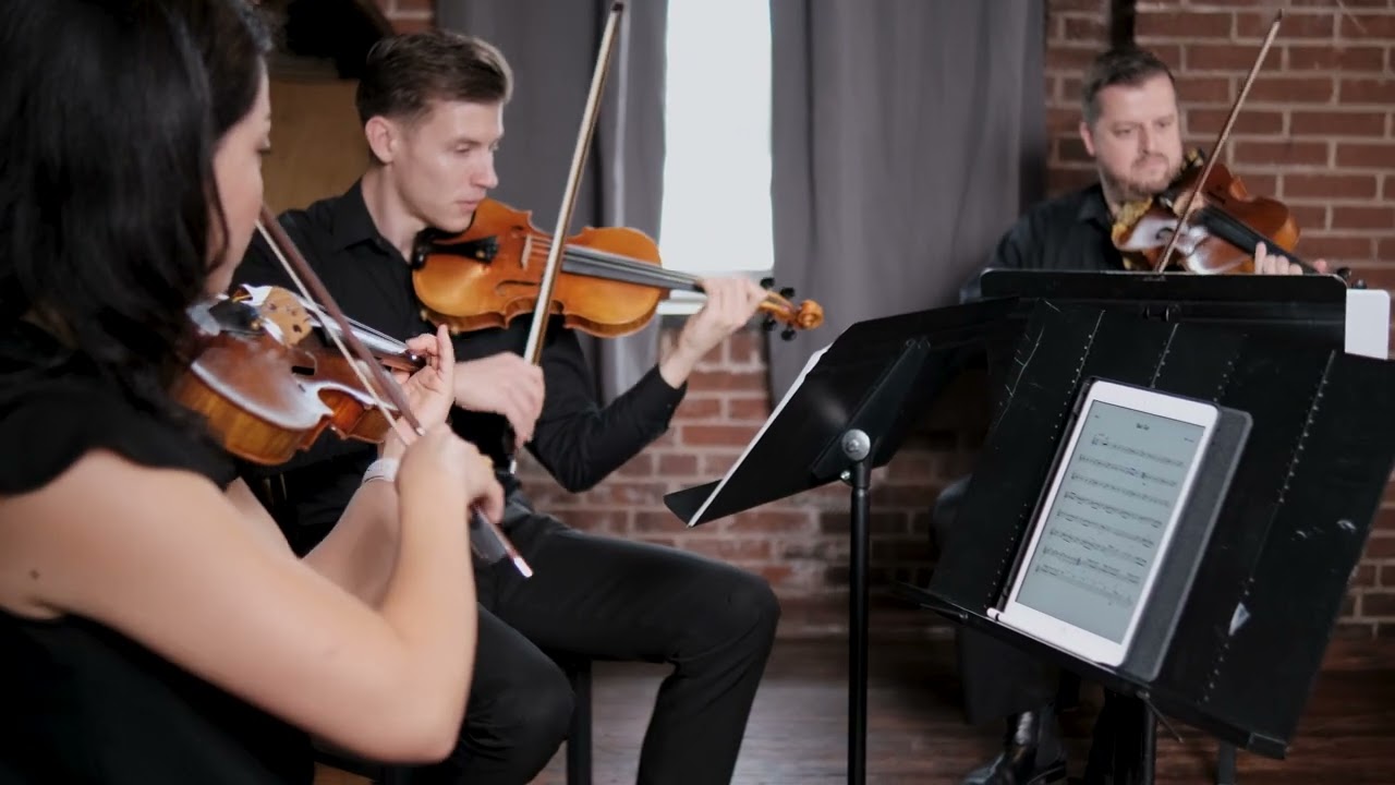 Promotional video thumbnail 3 for Project String Quartet