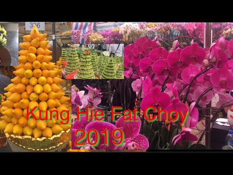 Lucky Plants and Flowers 2019|| Kung Hie Fat Choy