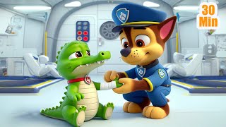 Paw Patrol Friends Teamwork Rescue Adventures - Chase & Skye Compilation