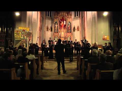 Tabula Rasa Chor - Konzert 2012 - 08 Will you come and follow me