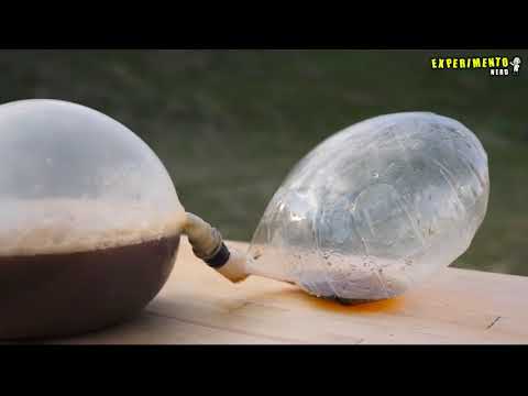 Experimento: Balão de Coca Cola vs Balão de Mentos
