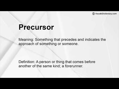 Precursor Meaning