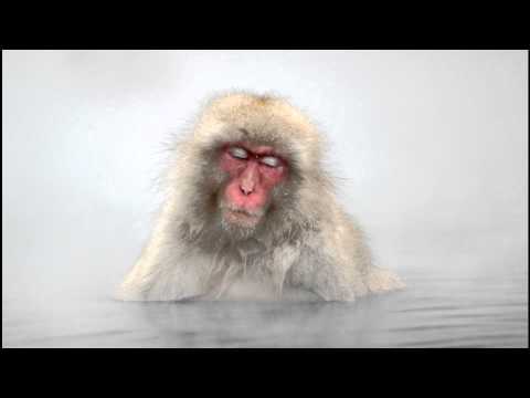 Meditation music - Maneesh de Moor  - Moola Meditation