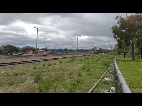 9203 9208 9204 Pacific National coal train Werris Creek
