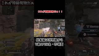 【V最協APEX】特級呪物の始まり【渋谷ハル切り抜き】