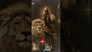 Download lagu Haider Maula Ali || Haider mera Mola || Status Video.#haider #alimula  #viral mp3