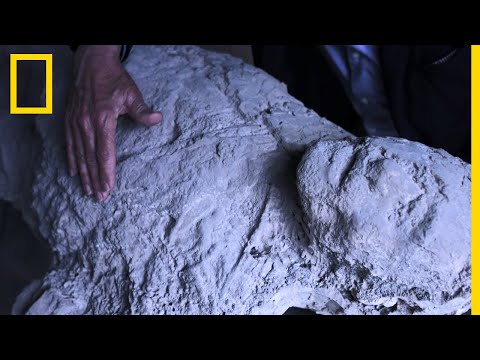 Les fugitifs pétrifiés de Pompéi