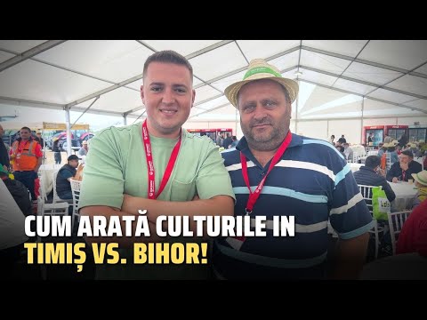 Cum arată culturile in Timiș vs. Bihor! De vorbă cu fermierul Sorin Ban