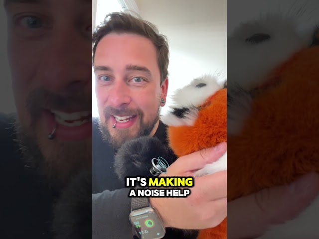 Vídeo relacionado con Mineup Panda Rojo Peluche, 23 cm Suave Juguete, Red Panda Plush Toy, Kawaii Muñecas Cojín, Animales Plushie Regalo para Niños Navidad y Cumpleaños
