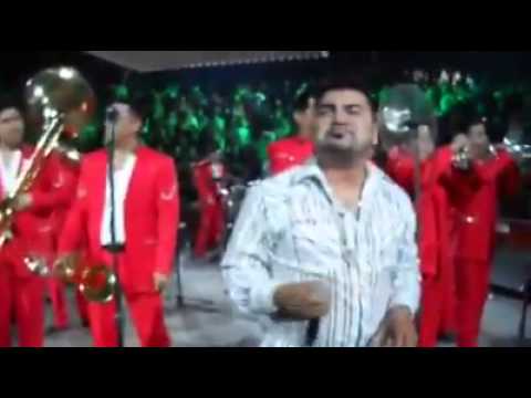 EL MIMOSO Y LA ARROLLADORA...LA GUARECITA