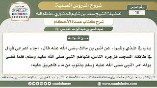 صورة 18 - شرح كتاب عمدة الأحكام ( كتاب الطهارة - باب في المذي وغيره 1 ) - الشيخ سعد بن شايم الحضيري