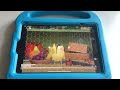 Wonder Pets Apple