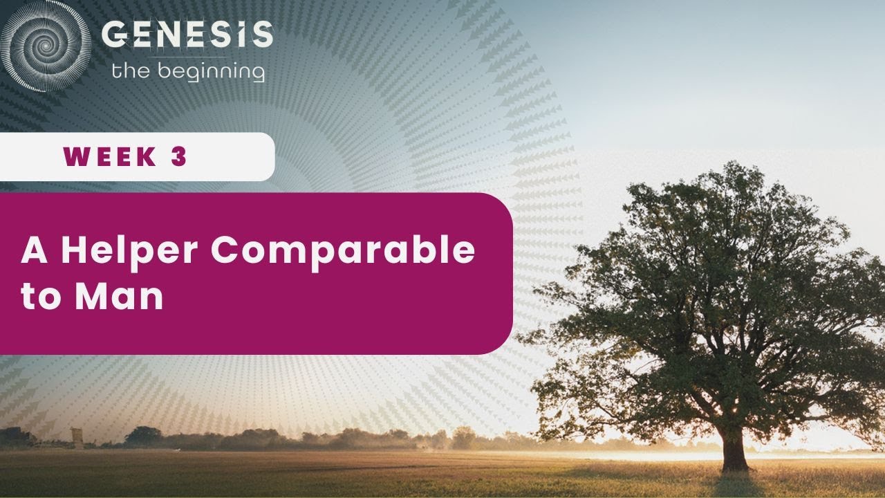 Week 3 - A Helper Comparable to Man