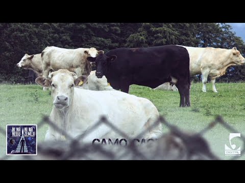 Video thumbnail for Samo Sloga