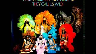 The Wild Magnolias - They Call Us Wild