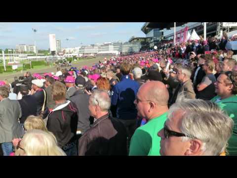 Elitloppet 2016 - Nuncio med Örjan Kihlström vinner!