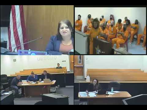 Hernando County Courts