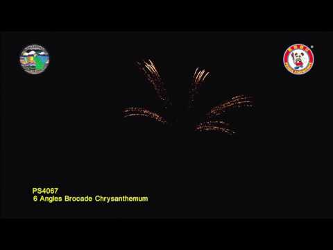 SD100CH09 - 4 INCH SHELL - WIZARD FIREWORKS - PS4067