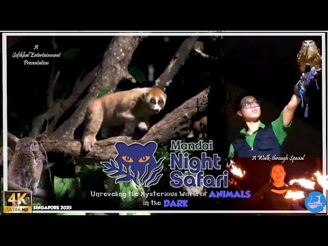 Night Safari: Unreveling the Mysterious World of Animals in the Dark |Singapore 2025| 4K