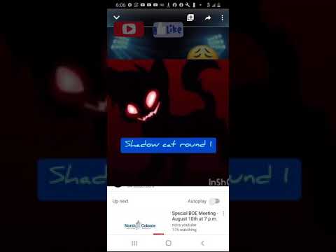 Shadow cat beatbox solo round 1