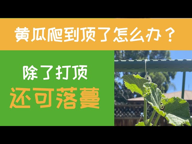 Pronúncia de vídeo de 落 em Chinês