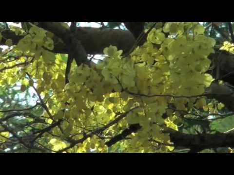 7 Notes To Infinity Music 07