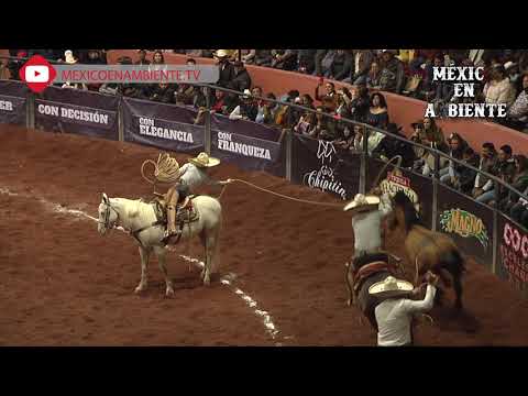 EXCELENCIA CHARRA 2019 FINAL - MANGANAS A CABALLO -  JOSÉ "CHIRINGAS" ACEVES DE RANCHO LAS CUATAS