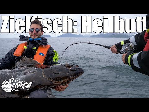 Angeln auf HEILBUTT in NORWEGEN // Vor SOMMARØY auf den König des Nordmeers