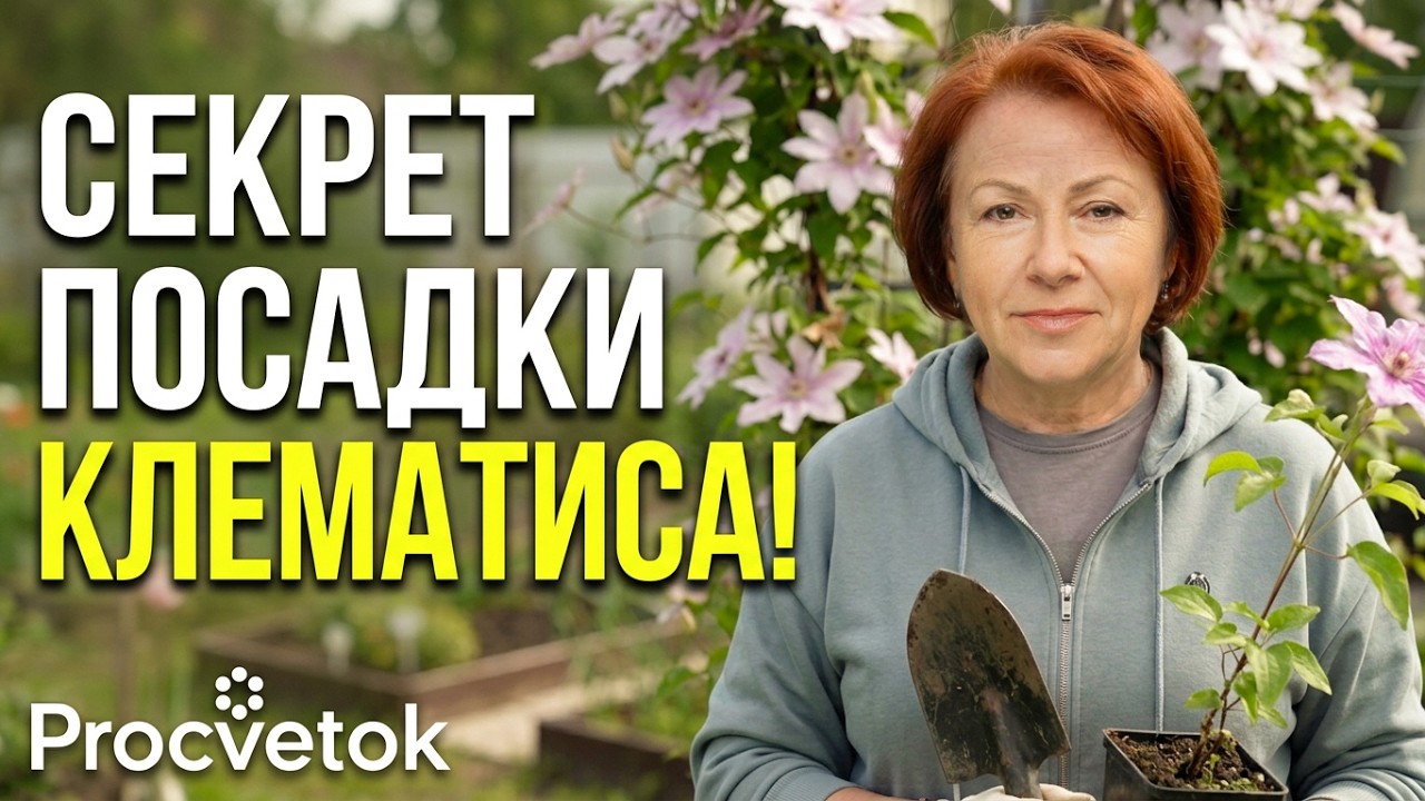 КЛЕМАТИСЫ: посадите ТАК для лавины цветов! Секреты биолога
