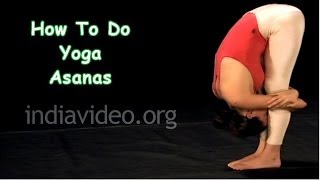 How To Do Yoga Asanas - Padahastasana (Standing Forward Bend) Video