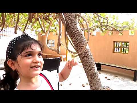 Wow !! Grapes Plants in Habitat School Ajman, UAE I Aysha Faheema