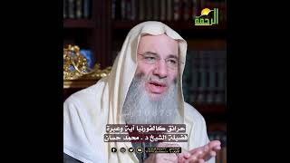 إعصار النار❗️| تعليق فضيلة الشيخ د. محمد حسان image