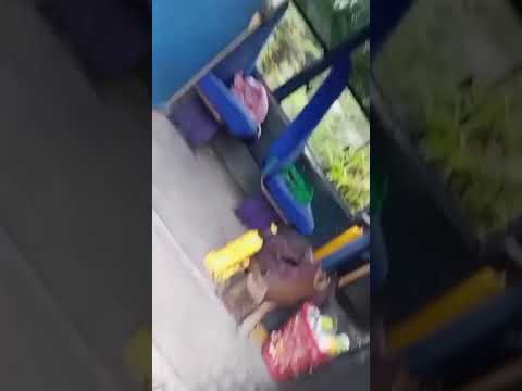 Estado vial Vda. Buenos Aires - Las Mercedes, Venecia Cundinamarca.