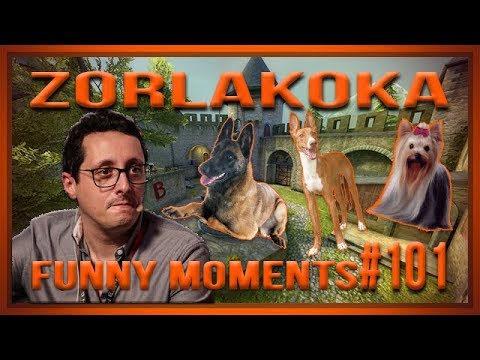 [PT] zorlaKOKA Funny Moments - ZORLAK E OS CÃES!!!  - #101