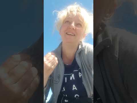 Aprendizaje asociativo en perros.