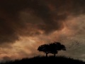 Autumn Tears - Autumn Requiem 
