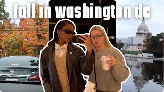 cat cafe, karaoke, museums + more | fall washington dc vlog