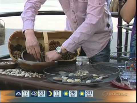 Daytime - repurposed Fan 2012.mov