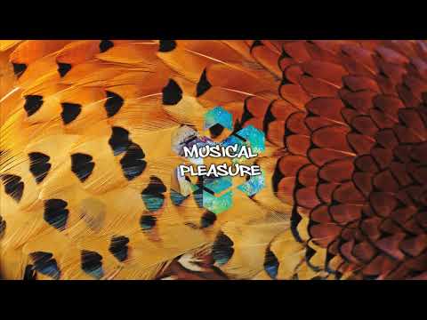 Jafunk Feat. Dana Williams & Nic Hanson - You Got Me