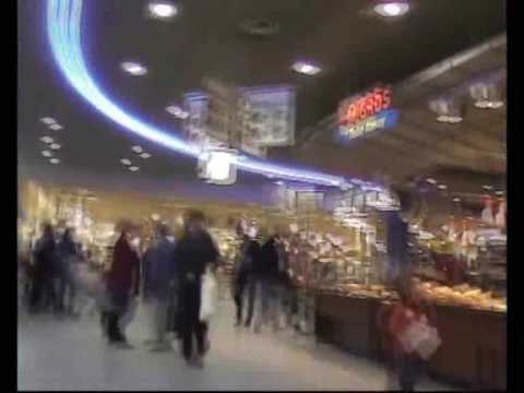 robid0g - unterwägs