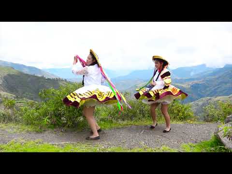 Gato Del Arpa - Weqro Zapato Suegra / Videoclip Oficial (Huayno Perú)