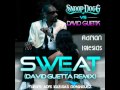 Snoop Dogg vs. David Guetta - Sweat (Adrian ...