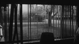 Frontier Ruckus - Does Me In / The Tower