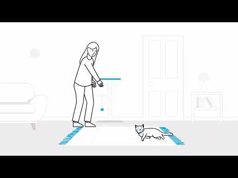 How to set up your home for a new cat | The Battersea Way