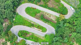 속리산 말티고개와 정2품송