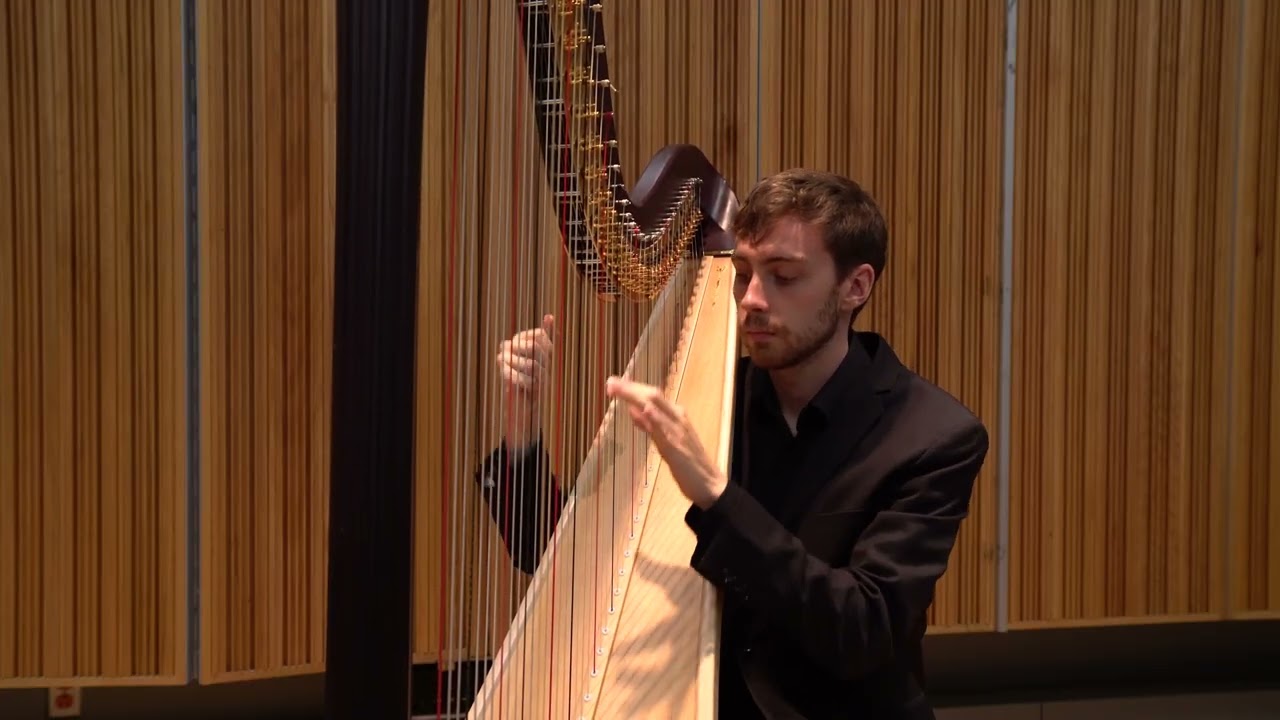 Promotional video thumbnail 3 for Kalen Smith - Harpist