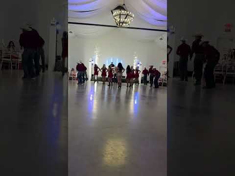 Un huapango para la quinceañera 🕺🏻#quince #dance #quinceañera #bailesorpresa #huapangos