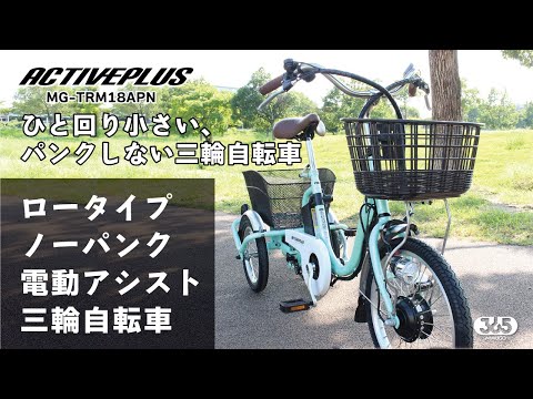 ノーパンク ロータイプ電動アシスト三輪自転車[18（前輪）/14（後輪